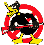 Roost gufi in pericolo ad Ostellato (Fe)